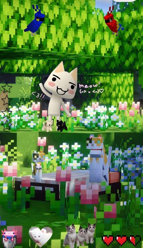 Toru Inoue Wallpaper, Toro Inoue Wallpaper Iphone, Toro Wallpaper Iphone, Toro Cat Wallpaper, Minecraft Lockscreen, Toro Inoue Wallpaper, Toro Wallpaper, Toro Cat, Two Wallpaper