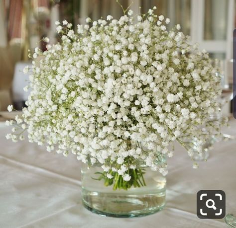 Gypsophila Wedding Decoration Table, Baby's Breath Centerpieces, Gypsophila Wedding, Wedding Floral Centerpieces, Flower Centerpieces Wedding, Table Arrangements, Wedding Mood, Wedding Deco, Bridal Flowers