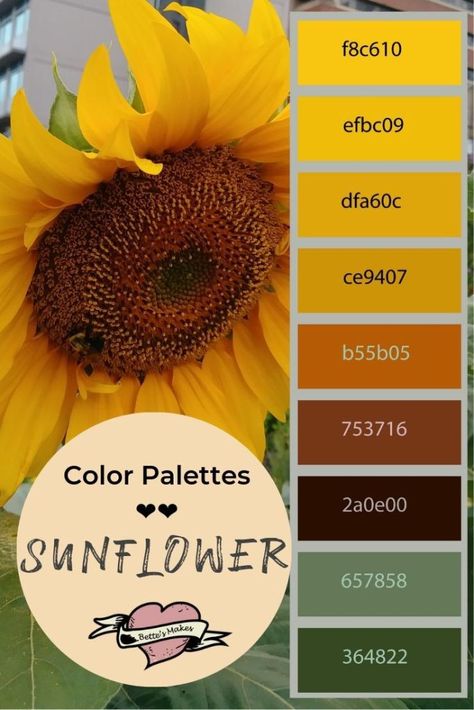 Colors of the sunflower! This amazing palette is the inspiration for making paper flowers and other Diy home decor! This color palette is from an untouched photo from a local garden. Perfect for papercrafts, DiY Home Decor, and more. #cricut #papercarft #colorpalette #craft #handmadecard #DIYHomeDecor Sunflower Colors Palette, Sunflower Kitchen Color Scheme, Sunflower Kitchen Paint Colors, Sunflower Yellow Color Palette, Sunflower Pallet Color, Colors That Go With Sunflowers, Sunflower Color Scheme, Sunflower Colour Palette, Sunflower Wedding Palette