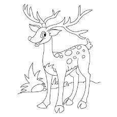 Deer Coloring Pages, Deer Drawing, Farm Animal Coloring Pages, Easy Drawings For Kids, Hand Embroidery Art, Art Drawings For Kids, Animal Coloring Pages, Line Art Drawings, A Drawing