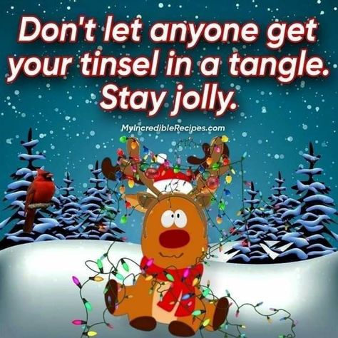 Happy Christmas Eve Quotes Funny, Christmas Eve Humor, Minions Friends, Funny Christmas Cartoons, Christmas Eve Quotes, Lifetime Quotes, Winter Greetings, Christmas Thoughts, Happy Christmas Eve