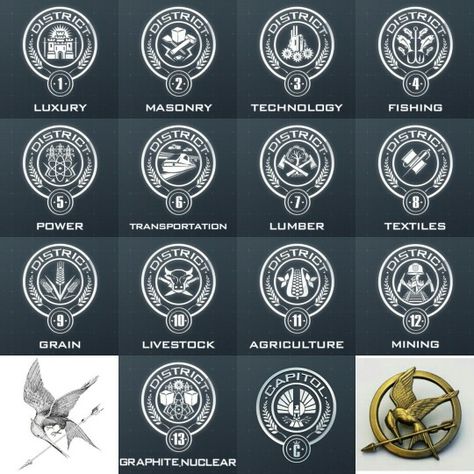 Districts of Panem Panem Districts, Districts Of Panem, Hunger Games Districts, Suzanne Collins, Hunger Games, Tv Series, Geek Stuff, Books, Quick Saves