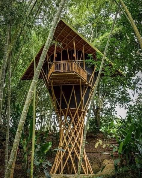 Tree Tent Camping, Treehouse Villas, Small Hotel Room, Houses By The Beach, Tree Tent, Airplane Drawing, Bamboo House Design, Bamboo Structure, Bamboo Architecture