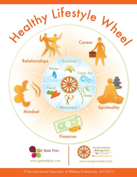 The healthy lifestyle wheel Healthy Living Motivation, Healthy Garden, Good Healthy Snacks, Healthy Lifestyle Motivation, Healthy Snacks For Kids, Mind Body Soul, Healthy Living Lifestyle, Happy Lifestyle, Good Health