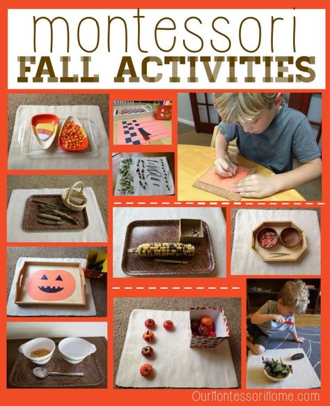 November Montessori, Montessori Fall Activities, Montessori Activities For Toddlers, Art Montessori, Montessori Trays, Montessori Activities Preschool, Fall Activities For Kids, Montessori Home, Montessori Lessons