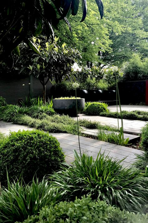 Shady Garden Ideas, Plants That Love Shade, Shady Gardens, Shady Garden, Small Urban Garden, Urban Garden Design, Tattoo Plant, Stone Paving, Courtyard Gardens Design