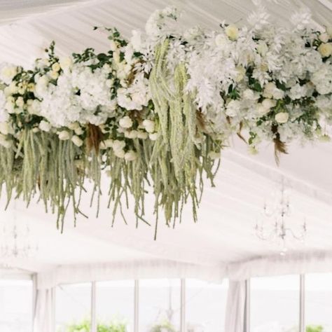 Hanging Amaranthus, What A Day, Hanging Flowers, Floral Arch, Tent Wedding, Wedding Florals, Estate Wedding, Wedding Modern, Wedding Inspo