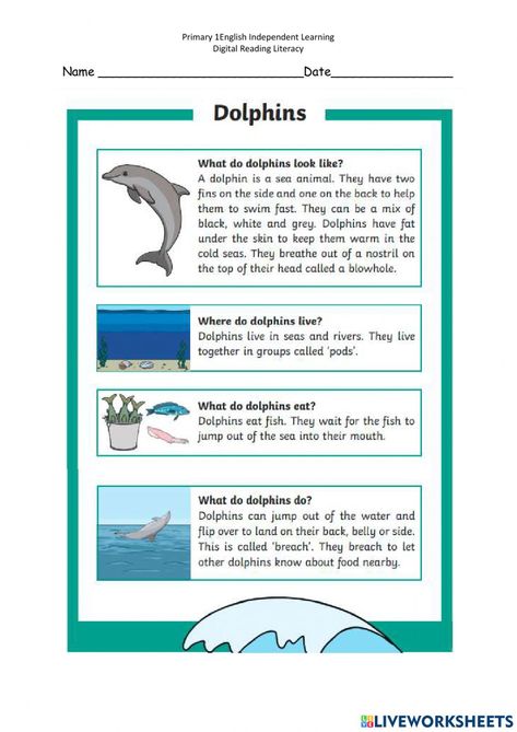 Dolphin Worksheet, All About Dolphins, Dolphin Project, Animal Fact File, Dolphin Habitat, Ocean Unit Study, Dolphin Facts, Cycle For Kids, 2nd Grade Reading Comprehension