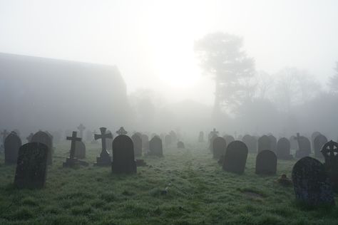 Grave Keeper Aesthetic, Crawling Out Of Grave, Coffin Aesthetics, Cemetery Wallpaper, Coffin Aesthetic, Grave Aesthetic, Graveyard Wallpaper, Foggy Graveyard, Forest Cemetery