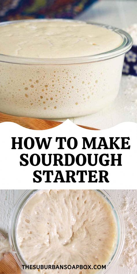 Pizza Sourdough, Make Sourdough Starter, Sourdough Bagels, Sourdough Bread Starter, Sourdough Starter Recipes, Dough Starter, Sourdough Starter Discard Recipe, Discard Recipe, Sourdough Starter Discard