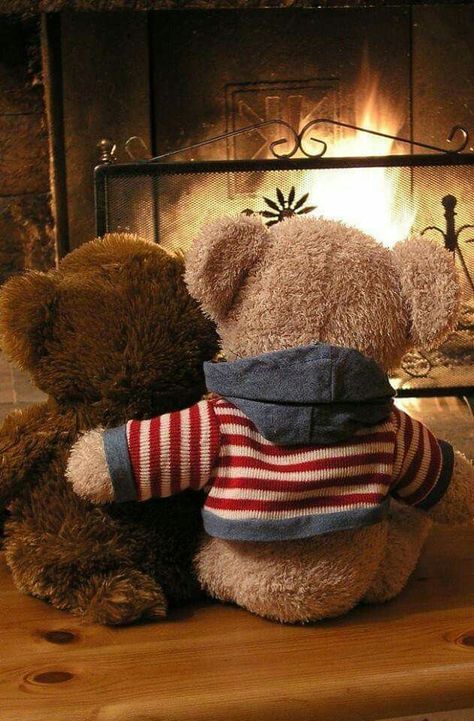 Teddy Bear Hug, Teddy Pictures, Teddy Bear Images, Teddy Day, Teddy Bear Wallpaper, Bear Images, Teddy Bear Pictures, Teddy Bear Girl, Bear Pictures