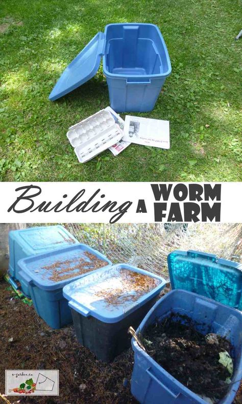 Worm Bins How To Build, Worm Farm Diy How To Make A, Earthworm Farm, Vermicomposting Worm Farm, Cricket Farm, Worm Tower, Worm Farm Diy, Mealworm Farm, Worm Beds