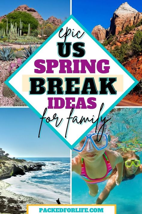 Spring Break For Kids, Cheap Spring Break Ideas, Spring Break With Kids, Spring Break Destinations Families, Best Vacations With Kids, Family Friendly Vacation Destinations, Best Spring Break Destinations, Spring Break Ideas, Spring Travel Destinations