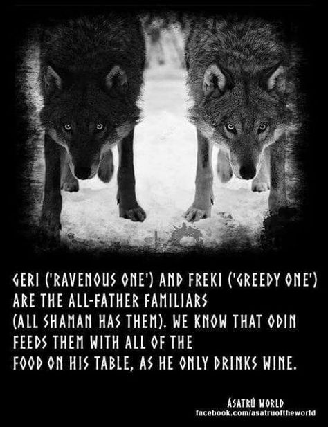 Odin Geri And Freki, Viking Quotes, Viking Wolf, Norse Gods, Norse Myth, Viking Life, Norse Symbols, Norse Tattoo, Norse Pagan