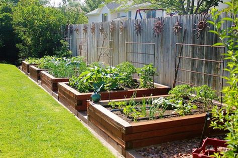 Backyard Vegetable Garden, Garden Bed Layout, Vertical Vegetable Garden, Garden Layout Vegetable, Lawn Design, Herb Garden Design, Backyard Vegetable Gardens, Garden Area, Garden Types