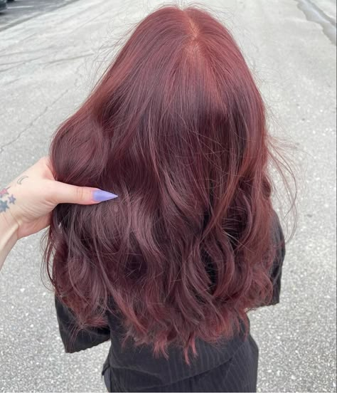 Dark Red Curtain Bangs, Light Wine Red Hair, Wine Red Brown Hair, Light Red Hair Dye, Red Hair On Dark Hair, Dark Red Wavy Hair, Dark Red Natural Hair, Dark Red Dyed Hair, Dark Brown To Red Hair