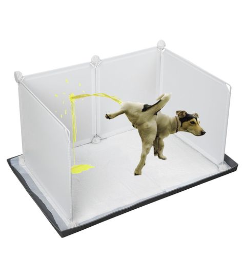 PRICES MAY VARY. [Perfect Protect for Wall and Floor] Doggie pee pad holder tray preventing urine from splashing onto the wall, floor,carpet and sofa.It also perfect for edge peeing dog puppy,elevated edges prevents pee from flowing on to the floor.It is great for house training. [Enclosure Splash Guard] The enclosure splash guard is composed of several plastic sheets and connectors you could DIY the splash guard according to your requirements. [Easy to Assemble] During assembly, Please check an Dog Condo, Pet Bedroom, Indoor Dog Potty, Dog Litter Box, Spoiled Pets, Dog Pee Pads, Dog Hero, Dog Accesories, Dog Washing Station