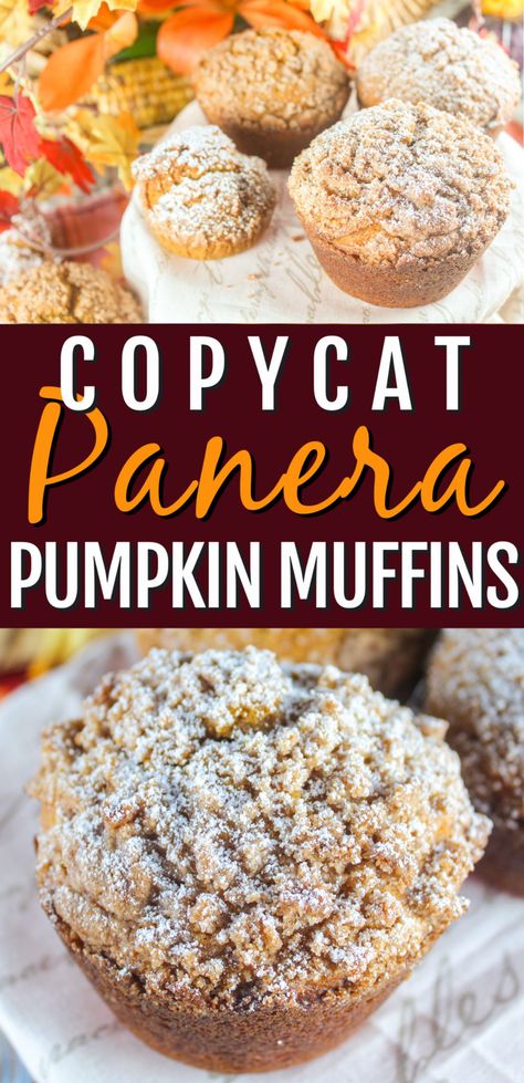 Panera Muffins, Panera Pumpkin Muffins, Panera Bread Pumpkin Muffins, Panera Pumpkin Muffin Recipe, Baking Fails, Copycat Panera, Pumpkin Muffin Recipes, Fresh Pumpkin, Spice Muffins