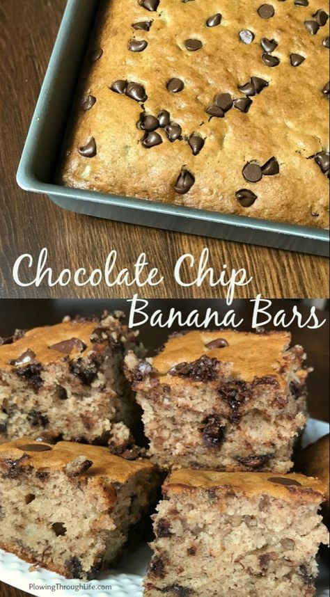 Chocolate Chip Banana Bars {Farmhouse Style} - Plowing Through Life Chocolate Chip Banana Bars, Banana Chocolate Chip Bars, Healthier Baking, Bread Stick, Coffee Muffins, Ripe Banana Recipe, Banana Dessert Recipes, Banana Bars, Chocolate Chip Bars