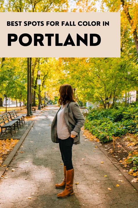 This local's guide covers the BEST spots for fall color in Portland (along with stunning photos) #portland #pdx #portlandinfall #autumncolor #fallcolor #bestfallcolorportland #fallportland Portland In The Fall, Fall In Oregon, Portland Oregon Fall, Hiking Near Portland Oregon, Forest Park Portland, Oregon Pictures, Portland Neighborhoods, Portland Food, West Coast Travel