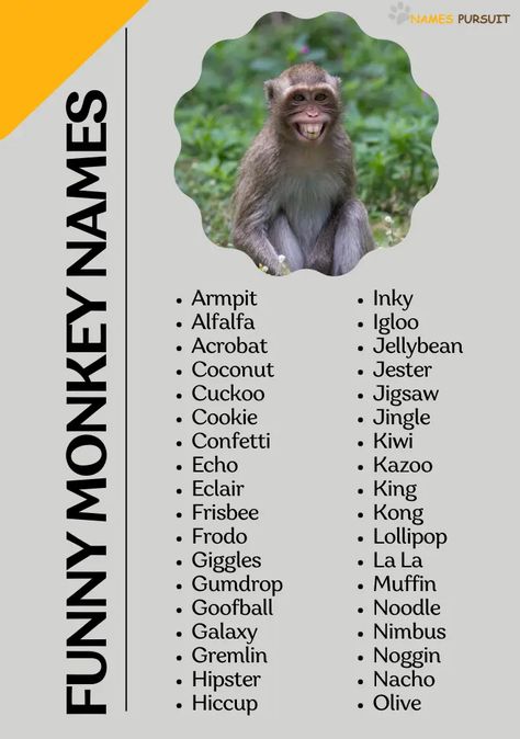 Go bananas over this hilarious list of monkey names! 🐒 From punny picks to downright giggly monikers, find the perfect name to tickle your funny bone. Pin and share to spread the monkey mischief! #FunnyMonkeyNames #MonkeyBusiness Monkey Names, Cute Pet Names, Funny Monkey, Go Bananas, Gum Drops, Monkeys Funny, Monkey Business, Gremlins, A To Z