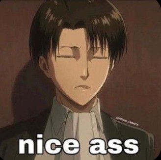 Anime Reaction Pics, Anime Reaction, Aot Memes, Reaction Pic, Funny Reaction, Anime Jokes, Funny Reaction Pictures, Reaction Memes, Anime Meme