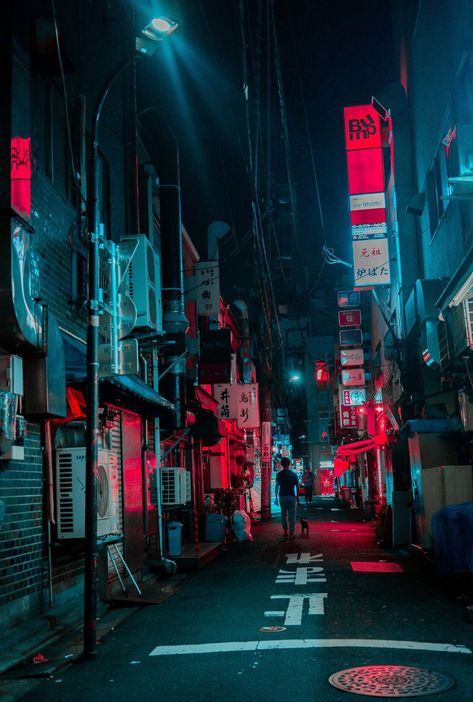 Neon asia - Album on Imgur Cyberpunk Cities, Hunting Photos, Alley Way, Art Cyberpunk, Look Wallpaper, Neon Noir, New Retro Wave, Cyberpunk Aesthetic, Cyberpunk City