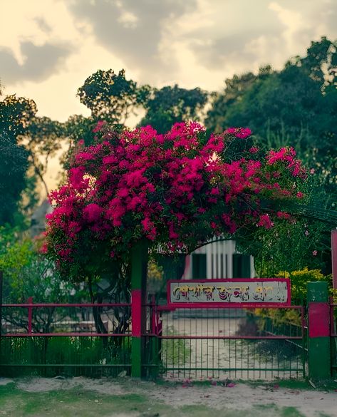 nature_wallpaper_birds_joinwdelower Garden Background For Editing, Flower Garden Background, Background For Editing, Hip Hop Wallpaper, Garden Gate Design, Garden Background, New Background, Nature Photography Flowers, Nature Background Images