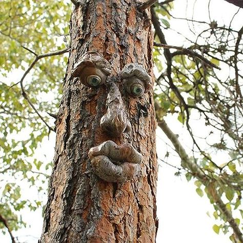 Tree Monster, Boom Kunst, Old Man Face, Dekorasi Halloween, Unique Garden Art, 3d Tree, Tree Faces, Outdoor Trees, Ghost Decoration