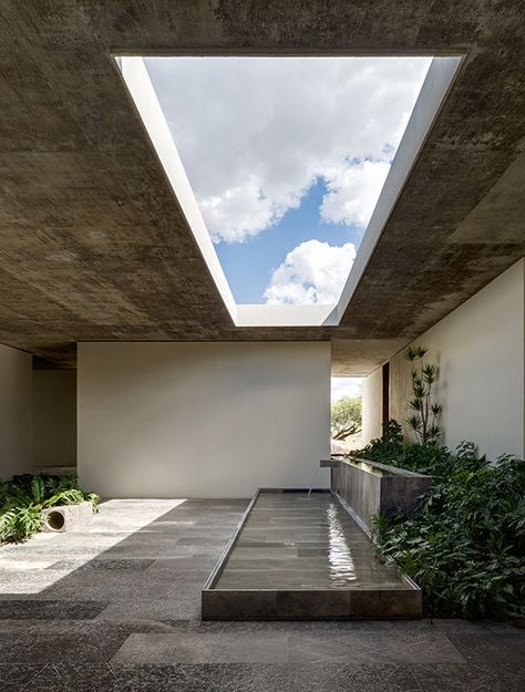 Arquitectura Corporativa: Planta hidropónica Next | Architectural Digest Architecture Courtyard, Modern Courtyard, Hydroponic Plants, Empty Room, Modern Architecture House, Courtyard House, Minimalist Architecture, Brutalism, Green Design