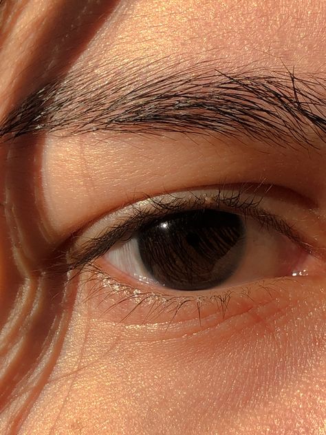 Aesthetic Brown Eyes, Brown Eyes Aesthetic, Iris Eye, Indian Eyes, Pretty Brown Eyes, Big Brown Eyes, Aesthetic Brown, Remove Dark Circles, Under Eyes