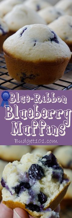 Award Winning Blueberry Muffins- Budget101.com Ribbon Award, Blue Ribbon Recipes, Moist Muffins, Pineapple Desserts, Blueberry Recipes, Types Of Cakes, Blueberry Muffins, Care Packages, Family Recipe