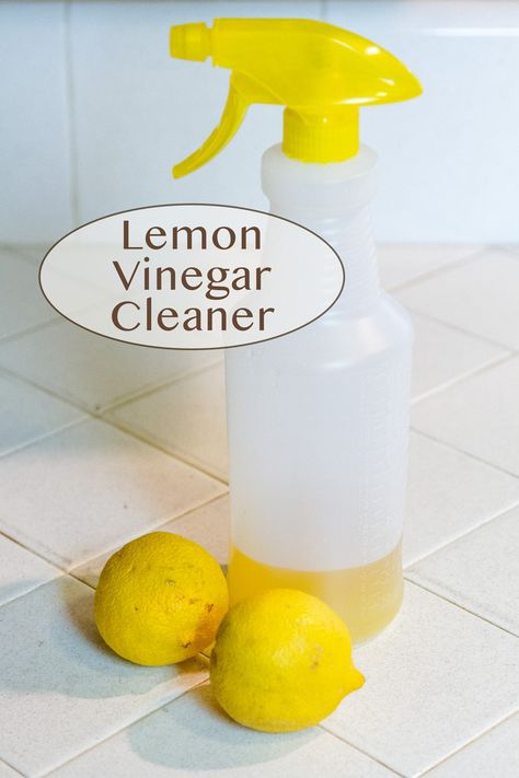 Lemon-Vinegar Cleaner is an easy to make, nice smelling, economical, non-toxic, all-natural, environmentally friendly, way to clean the house! And, it uses something that grows freely around my house: LEMONS! Lemon And Vinegar Cleaner, Vinegar And Water Cleaner, Lemon Vinegar Cleaner, Vinegar Cleaner Recipe, Lemon Vinegarette, Vinegar Cleaning Hacks, Vinegar Cleaning Spray, Diy Vinegar, Homemade Glass Cleaner