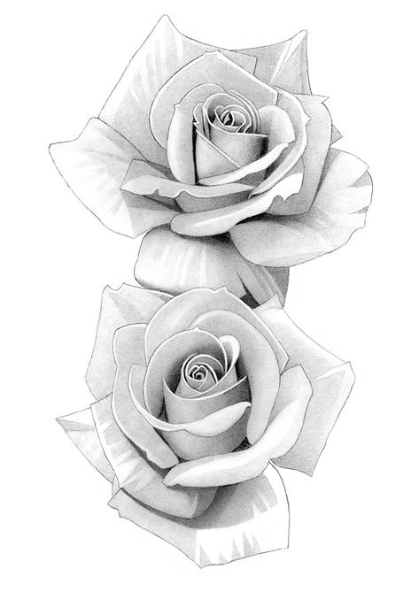 Rose Flower Sketch, Rose Flower Tattoos, Rose Drawing Tattoo, Flower Art Drawing, Roses Flower, Botanical Tattoo, Floral Tattoo Design, Rose Tattoo Design, Rose Drawing