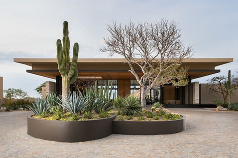 Hotel Montage Los Cabos on Behance Landscape Cactus, Mexico Architecture, Desert Resort, Casa Cook, Interior Design Photography, Green Architecture, Garden Landscape Design, Desert Landscape, Cactus Garden