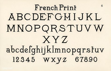 French style fonts from Draughtsman's Alphabets by Hermann Esser (1845–1908). Digitally enhanced from our own 5th edition of the publication. | free image by rawpixel.com English Calligraphy Font, French Font, Calligraphy Fonts Alphabet, Typography Alphabet, Free Illustration Images, Hand Lettering Inspiration, Beautiful Handwriting, Cool Typography, Lettering Alphabet Fonts