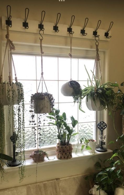 Koti Diy, Plant Room, Window Plants, Plant Decor Indoor, School House, House Plants Decor, Beautiful Spaces, Room With Plants, Cabin Life