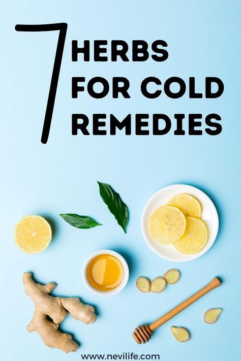 7 Useful Herbs for Cold Remedies. Here is the natural fast cold remedies tips for self. Best homemade cold remedies for kids and adults. Fast Cold Remedies, Cold Remedies For Kids, Homemade Cold Remedies, Cold Remedies Fast, Witch Spell Book, Boost Your Immune System, Natural Cold Remedies, Witch Spell, Cold Remedies