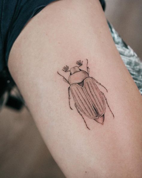 Alina | Fineline Tattoo Artist on Instagram: “🐛only single needle. Custom Design. . . . #bug #bugtattoo #vegantattoo #floraltattoo #botanical #got #dogtattoo #realistictattoo #vegan…” June Bug Tattoo, Fineline Tattoo, Vegan Tattoo, Bug Tattoo, New School Tattoo, Realism Tattoo, American Traditional Tattoo, Dog Tattoo, American Traditional