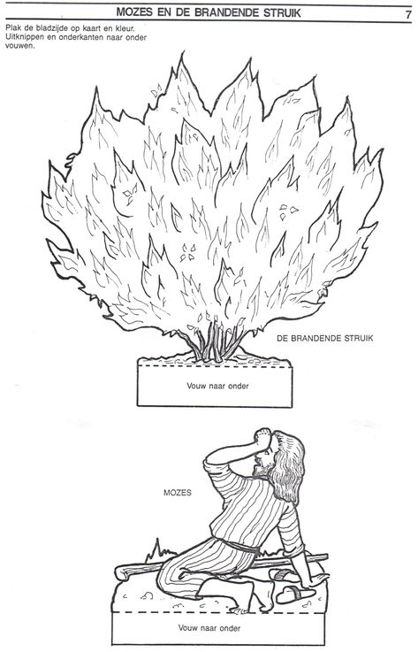 Burning Bush Craft, Burning Bush Plant, Moses Burning Bush, Moses And The Burning Bush, Sunday School Printables, The Burning Bush, Sunday School Projects, Bible Crafts Sunday School, Sunday School Coloring Pages