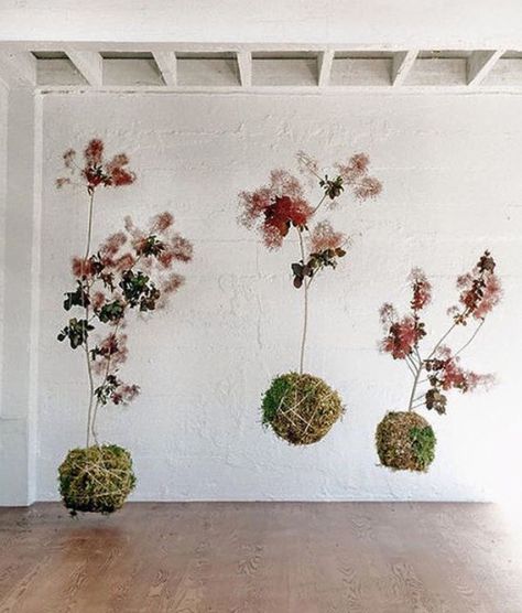 Xx Floral Exhibition, Studio Mondine, Floral Desing, Bridal Shower Centerpieces, Flower Installation, Shower Centerpieces, Dry Flower, Wedding Gifts For Bridesmaids, Hanging Flowers