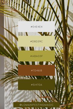 Canva Earth Tone Color Palette, Green Brown Color Palette Earth Tones, Earthly Tones Palette, Nature Palette Earth Tones, Organic Palette Color, Natural Organic Color Palette, Filipino Color Palette, Color Palette Nature Earth Tones, Earth Color Palette Nature