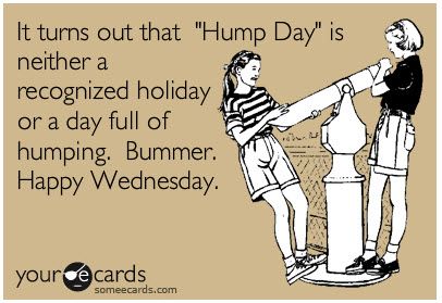 It turns out that "Hump Day" is neither a recognized holiday or a day full of humping.  Bummer.  Happy Wednesday. Veggie Couscous, Hump Day Quotes, Hump Day Humor, Wednesday Humor, Wednesday Quotes, What Day Is It, Hump Day, E Card, Ecards Funny