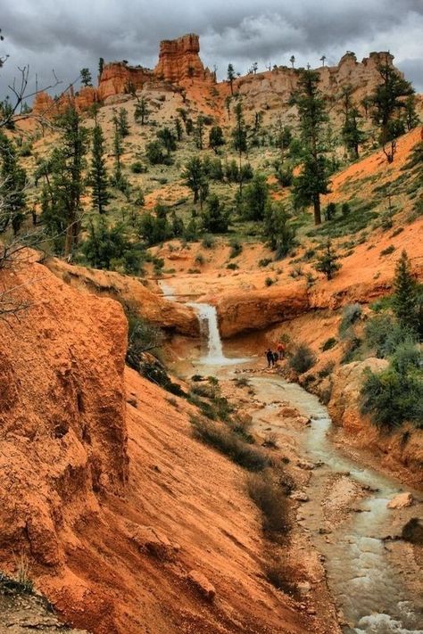 Sedona Arizona USA Nature Wellness, Sedona Az, Earth Nature, Arizona Travel, Biome, Sedona Arizona, Pretty Places, Sedona, Nature Pictures