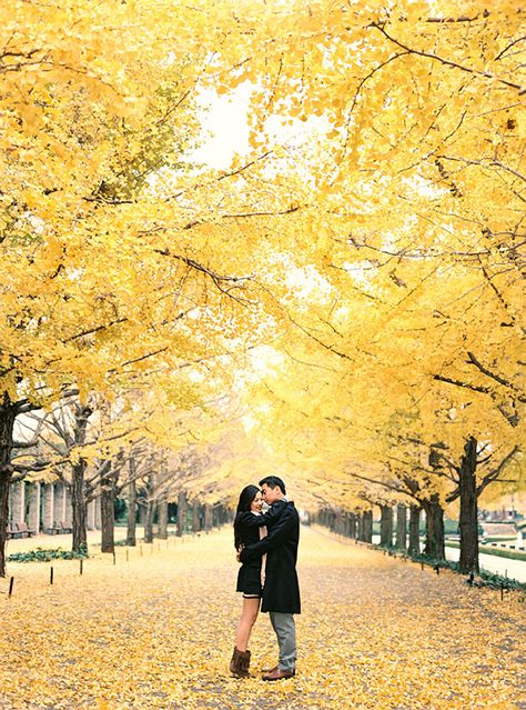 Fall Prenup Shoot, Japanese Engagement Photos, Japan Prewedding Photo Ideas, Japanese Prewedding Photography, Japanese Garden Engagement Photos, Japan Autumn Prewedding, Prenup Photos Ideas, Japan Autumn, Japan Wedding