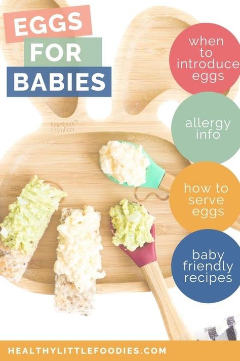 Eggs For Baby 6 Months, Eggs For 6 Month Old Baby, Egg Puree For Baby, Meat For Babies, Introducing Baby Food, Baby Food Homemade, Baby Food Allergies, Baby Food Guide, Baby Food Combinations