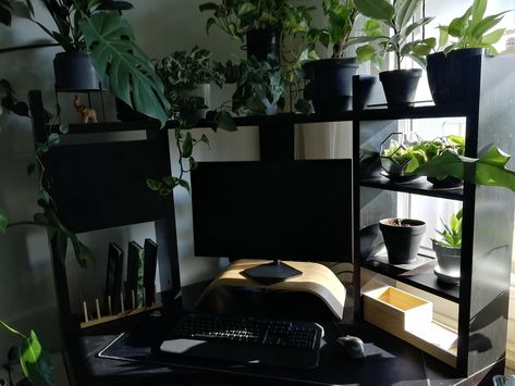 Black And Plants Bedroom, Black And Green Gamer Room, Desk Aesthetic Black, Black Gamer Room, Black Room Plants, Black Aesthetic Desk, Black Desk Setup Aesthetic, Desk With Plants, Aesthetic Desk Black