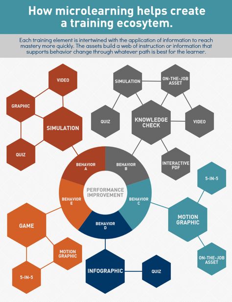 Ecosystem Infographic, Adult Learning Theory, Workplace Learning, Elearning Design, Learning Organization, Training Design, Learning Development, Learning Strategies, Training And Development