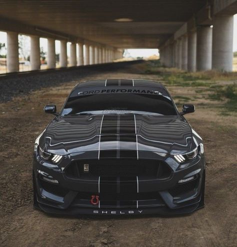 Working 5 days just to be free for 48 hours just don't sit right in my spirit #ford #mustang #gt350 #shelby Mustang Gt350 Shelby, Gt350 Shelby, Mustang Gt350, New Mustang, Shelby Gt, Ford Mustang Shelby, Mustang Cars, My Spirit, Mustang Shelby