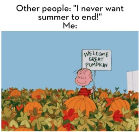 Time to switch out your coffee for a PSL, overhaul your wardrobe to a ton of flannels, and celebrate the season with these funny fall memes. Pumpkin Meme, Welcome Great Pumpkin, Hate Summer, Fall Instagram, Fall Humor, Fall Memes, Great Pumpkin, Summer Funny, Pumpkin Picking